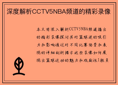 深度解析CCTV5NBA频道的精彩录像